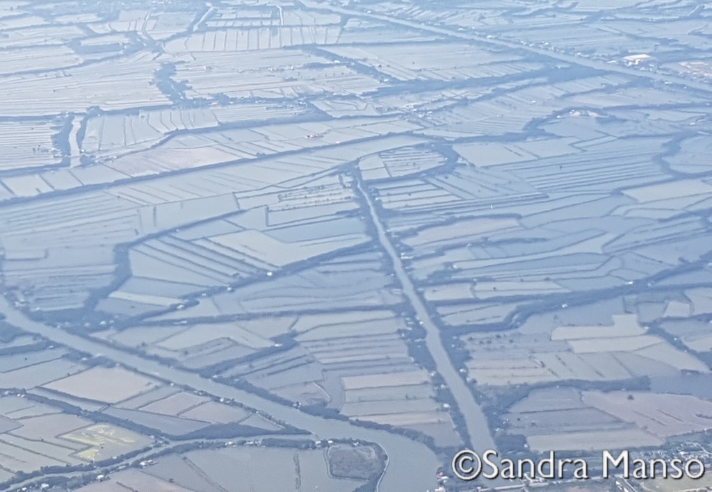 thaïlande Quatar Airways Bangkok  rizières