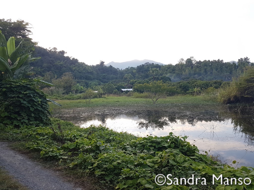 thaïlande