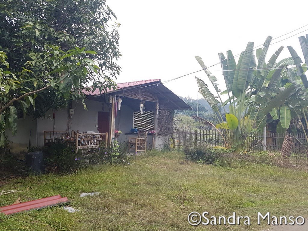 thaïlande maison bouddhas