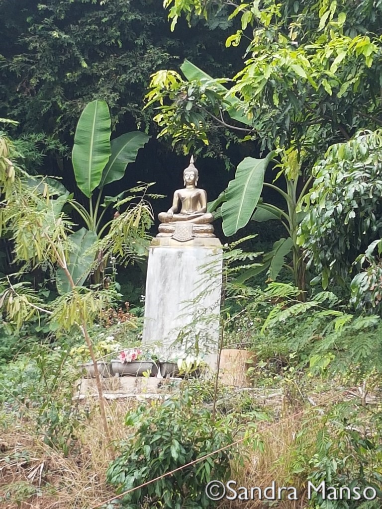 thaïlande bouddha