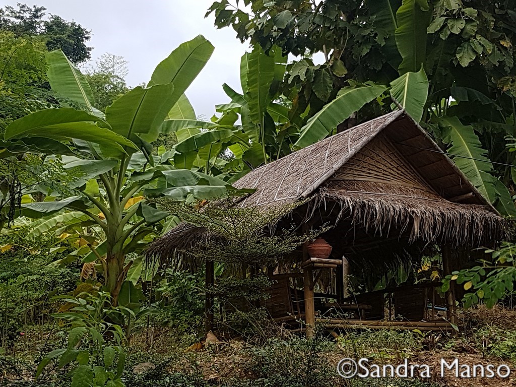 thaïlande salon méditation