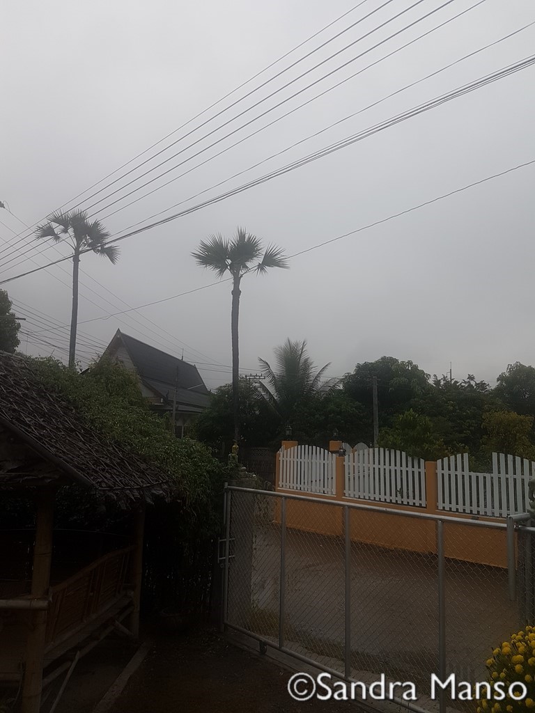 thaïlande pluie