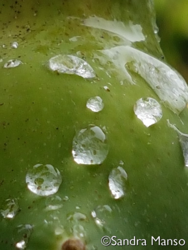 thaïlande goutte eau