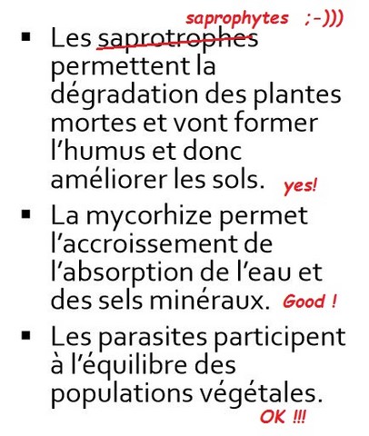 le champignon ami ou dangereux