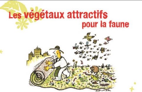 vegetaliser la maison humaniser notre vie