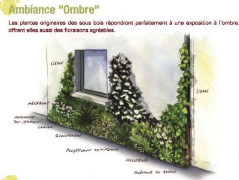 vegetaliser la maison humaniser notre vie