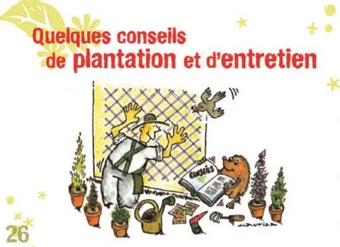 vegetaliser la maison humaniser notre vie