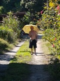 thaïlande parapluie soleil