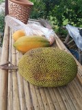thaïlande jakfruit papaye