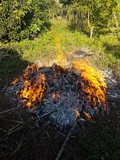 thaïlande feu